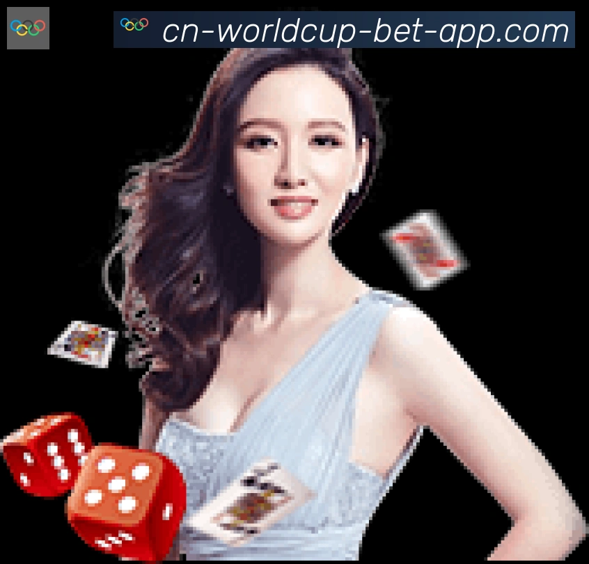 未来规划